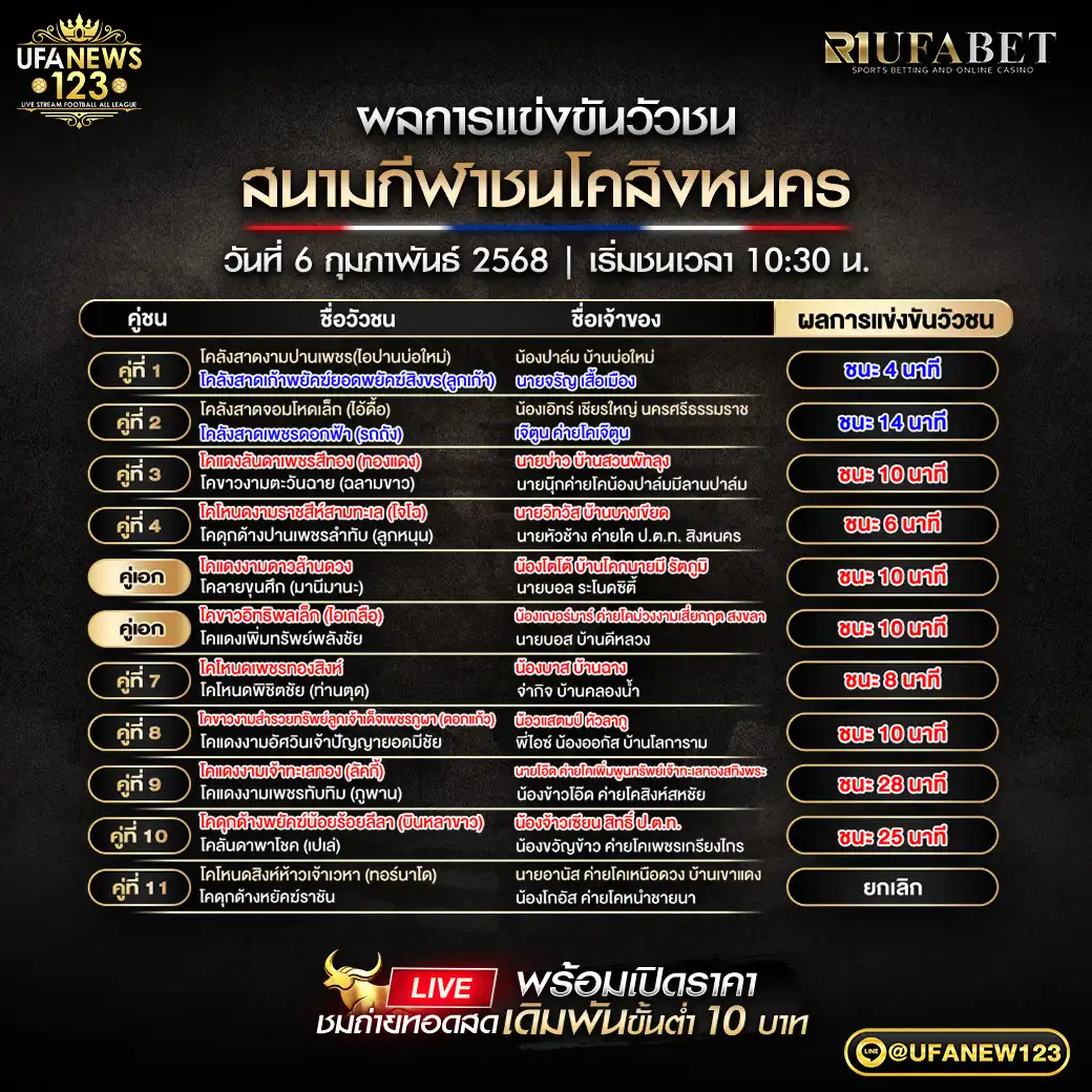 สรุปผลวัวชน สนามชนโคสิงหนคร 06 กุมภาพันธ์ 2568