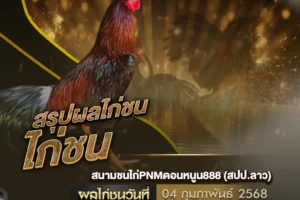 ผลไก่ชน 04 กุมภาพันธ์ 2568