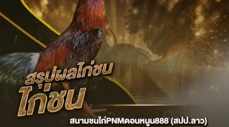 ผลไก่ชน 04 กุมภาพันธ์ 2568