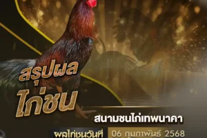 ผลไก่ชน 06 กุมภาพันธ์ 2568