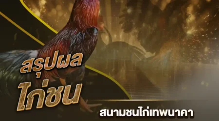 ผลไก่ชน 06 กุมภาพันธ์ 2568