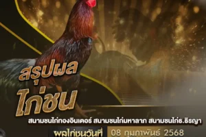 ผลไก่ชน 08 กุมภาพันธ์ 2568