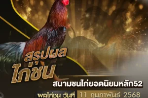 ผลไก่ชน 11 กุมภาพันธ์ 2568