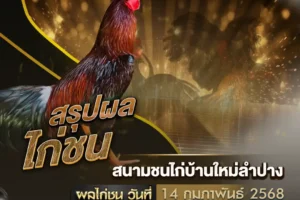 ผลไก่ชน 14 กุมภาพันธ์ 2568