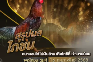 ผลไก่ชน 16 กุมภาพันธ์ 2568