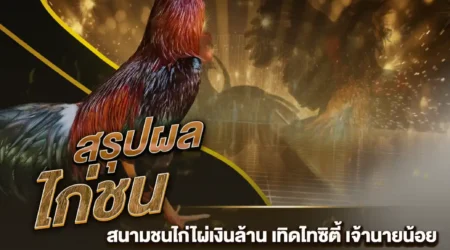 ผลไก่ชน 16 กุมภาพันธ์ 2568