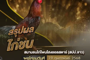 ผลไก่ชน 19 กุมภาพันธ์ 2568