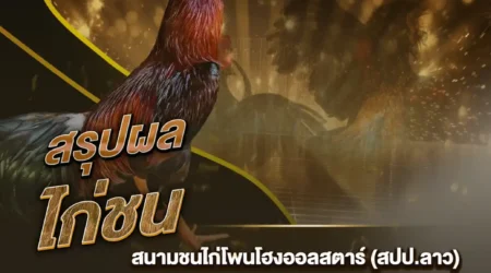 ผลไก่ชน 19 กุมภาพันธ์ 2568