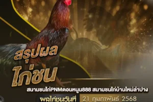 ผลไก่ชน 21 กุมภาพันธ์ 2568