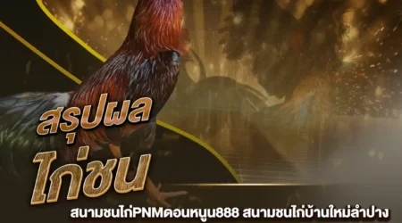 ผลไก่ชน 21 กุมภาพันธ์ 2568