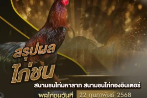 ผลไก่ชน 22 กุมภาพันธ์ 2568