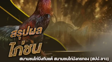 ผลไก่ชน 24 กุมภาพันธ์ 2568