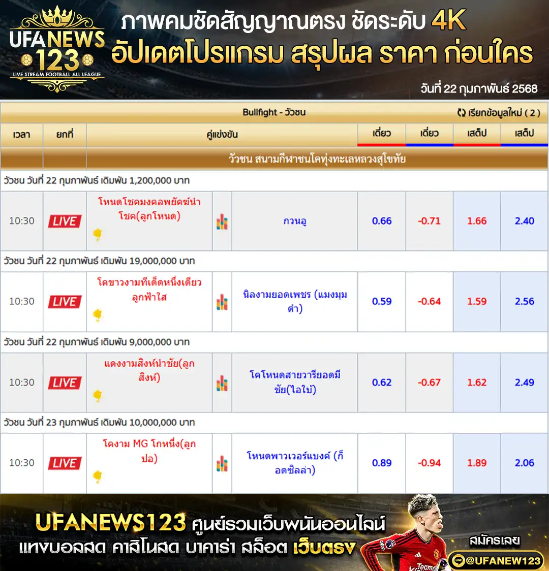 ราคาวัวชน สนามชนโคทุ่งทะเลหลวงสุโขทัย เริ่มชนเวลา 10.30 น. 22 กุมภาพันธ์ 2568