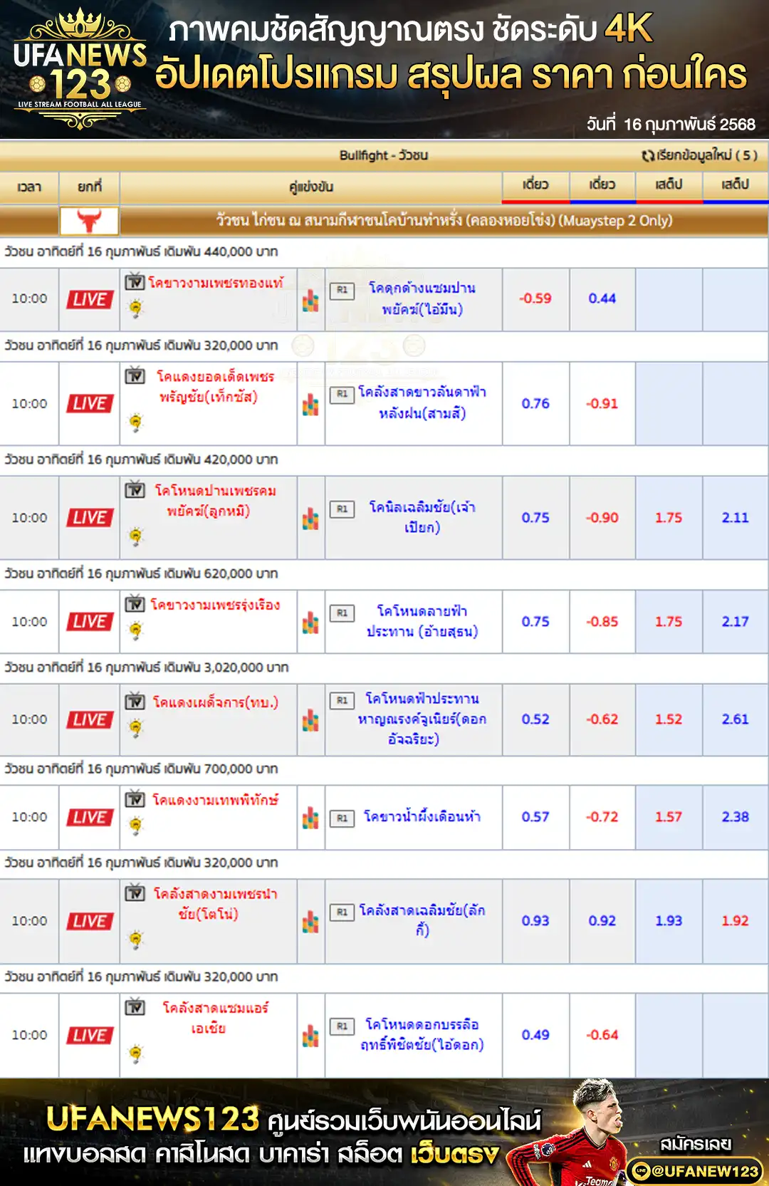 ราคาวัวชน สนามกีฬาชนโคท่าหรั่ง (หอยโข่ง) เริ่มเวลา 10:30 น. 16 กุมภาพันธ์ 2568