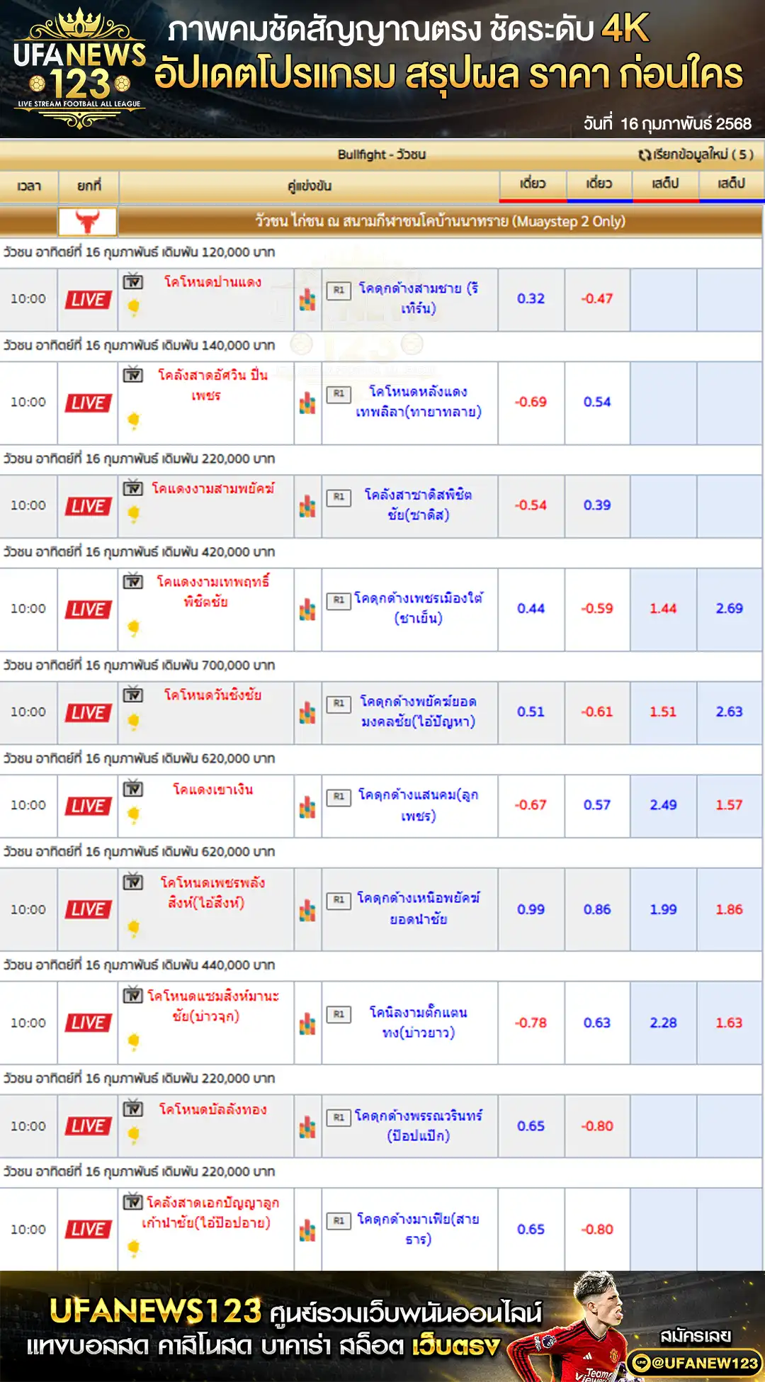 ราคาวัวชน สนามกีฬาชนโคบ้านนาทราย เริ่มชนเวลา 10:00 น. 16 กุมภาพันธ์ 2568