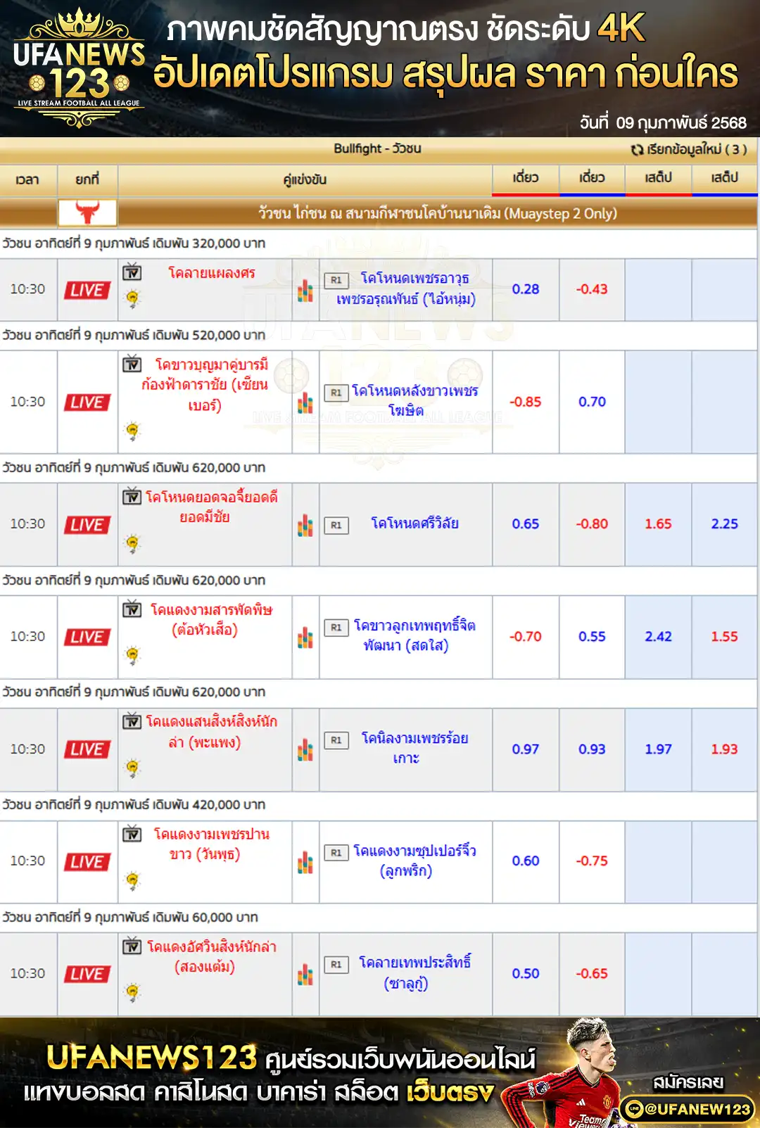 ราคาวัวชน สนามกีฬาชนโคบ้านนาเดิม เริ่มเวลา 10:30 น. 09 กุมภาพันธ์ 2568