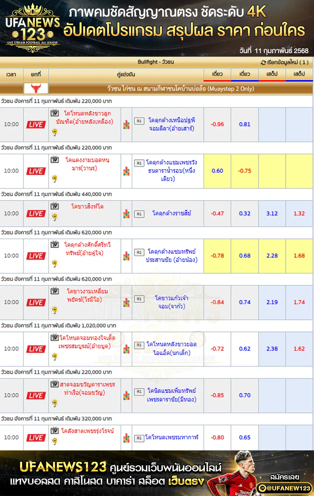 ราคาวัวชน สนามกีฬาชนโคบ้านบ่อล้อ เริ่มชนเวลา 10:00 น. 11 กุมภาพันธ์ 2568