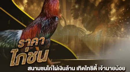 ราคาไก่ชน 16 กุมภาพันธ์ 2568