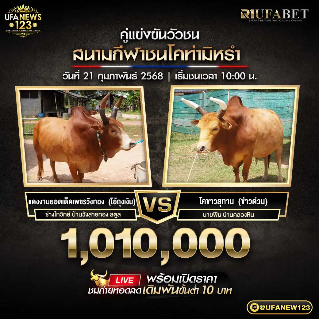 คู่เอก แดงงามยอดเด็ดเพชรวังทอง (ไอ้ถุงทอง) VS โคขาวสุทาน (ข่าวด่วน) 21 กุมภาพันธ์ 2568