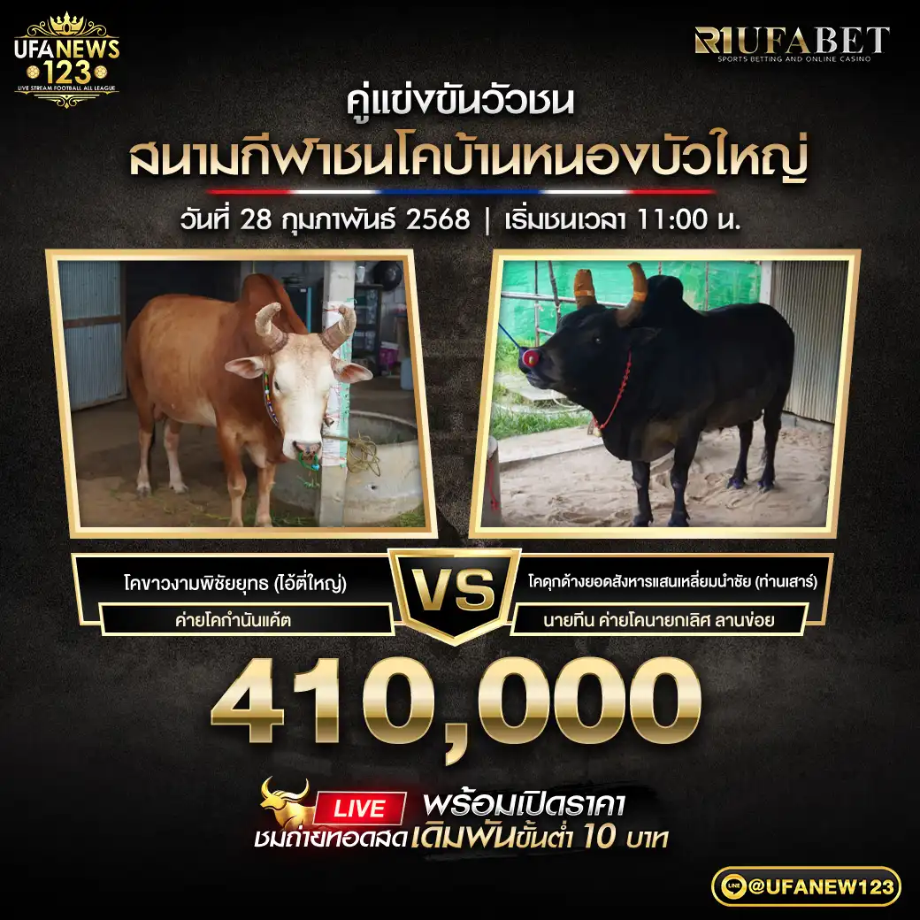 โคขาวงามพิชัยยุทธ (ไอ้ตี่ใหญ่) VS โคดุกด้างยอดสังหารแสนเหลี่ยมนำชัย ชิงรางวัล 410,000 บาท 28 กุมภาพันธ์ 2568