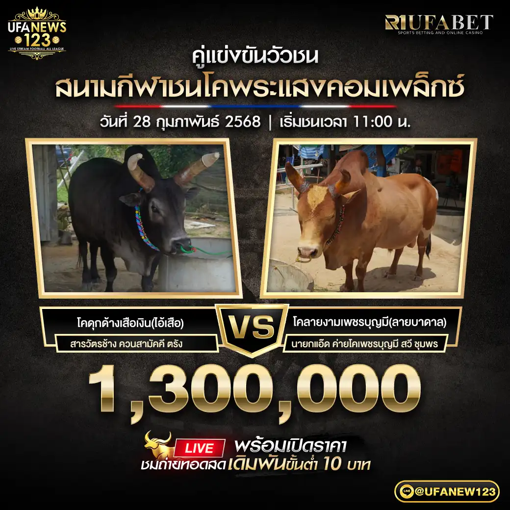 โคดุกด้างเสือเงิน (ไอ้เสือ) VS โคลายงามเพชรบุญมี (ลายบาดาล) ชิงรางวัล 1,300,000 บาท 28 กุมภาพันธ์ 2568