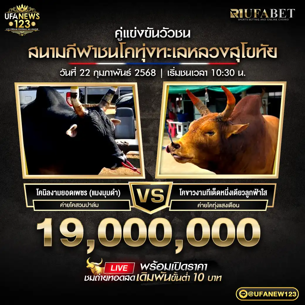 โคนิลงามยอดเพชร (แมงมุม) VS โคขาวงามทีเด็ดหนึ่งเดียวลูกฟ้าใส ชิงรางวัล 19,000,000 บาท 22 กุมภาพันธ์ 2568