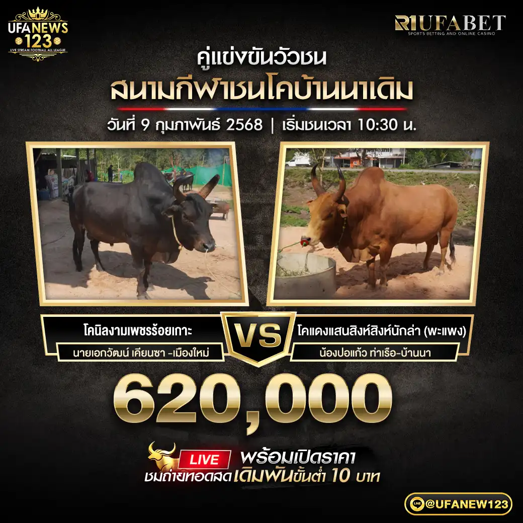 โคนิลงามเพชรร้อยเกาะ VS โคแดงแสนสิงห์สิงห์นักล่า ชิงรางวัล 1,100,000 บาท 09 กุมภาพันธ์ 2568