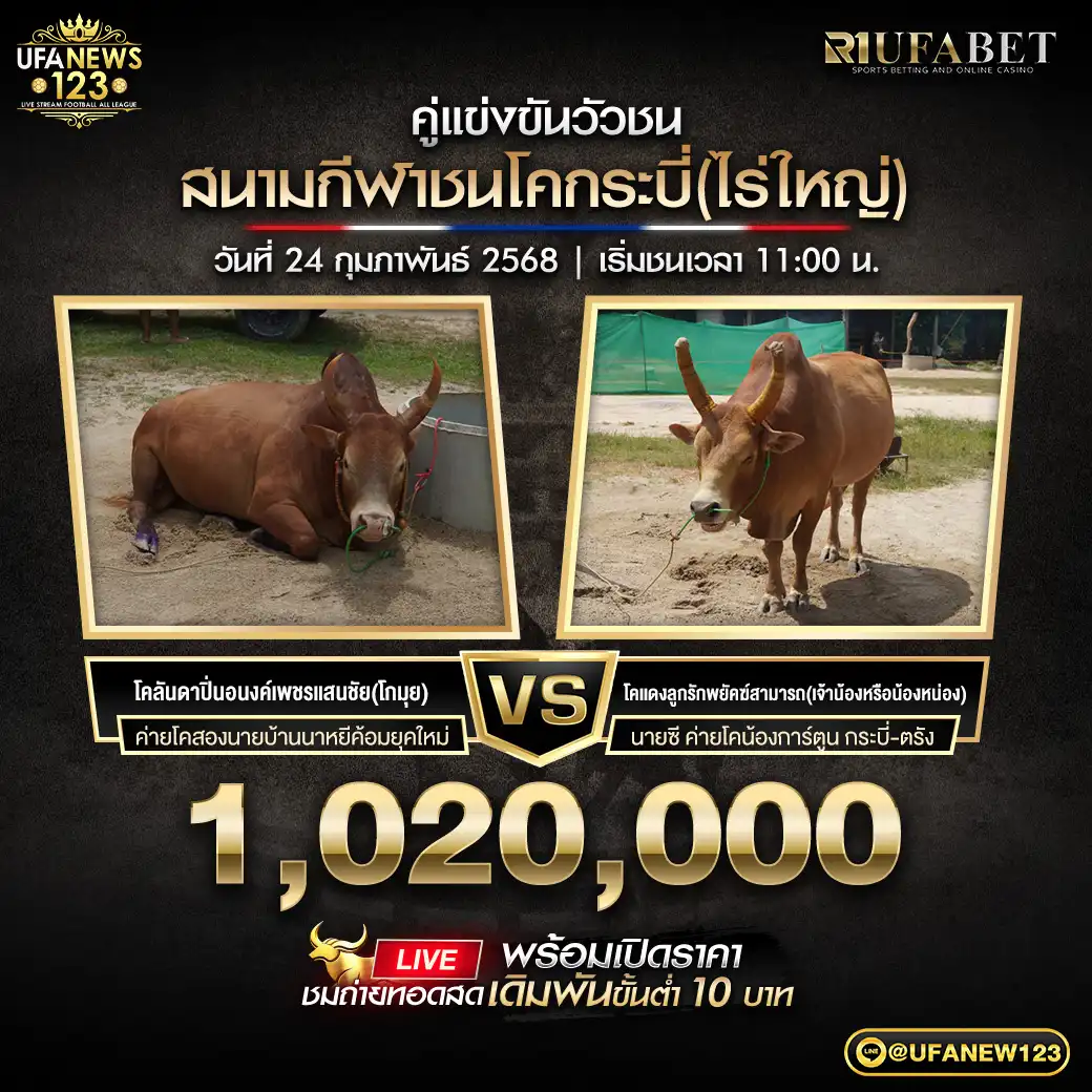 โคลันดาปิ่นอนงค์เพชรแสนชัย VS โคแดงลูกรักพยัคฆ์สามารถ ชิงรางวัล 1,020,000 บาท 24 กุมภาพันธ์ 2568