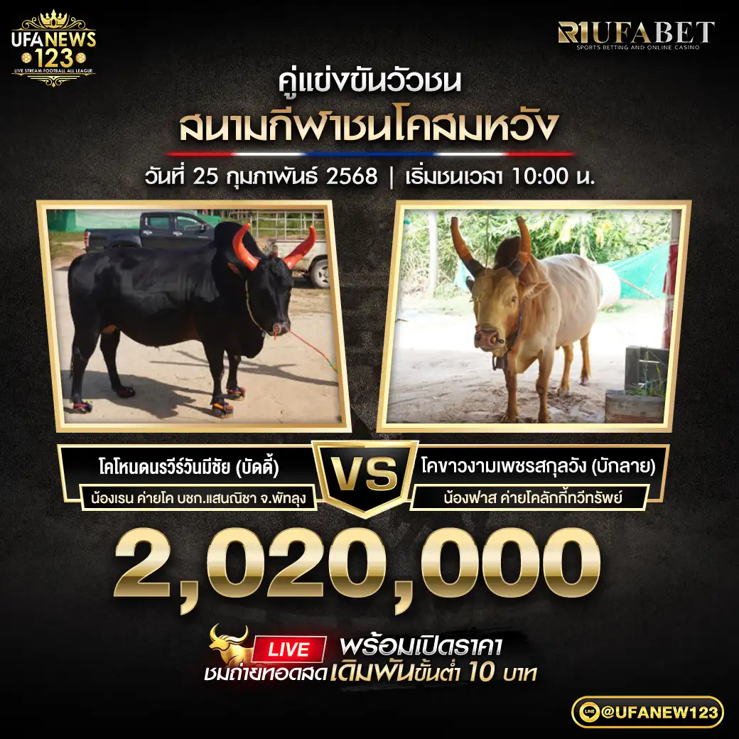 โคโหนดนรวีร์วันมีชัย VS โคขาวงามเพชรสกุลวัง ชิงรางวัล 2,020,000 บาท 25 กุมภาพันธ์ 2568