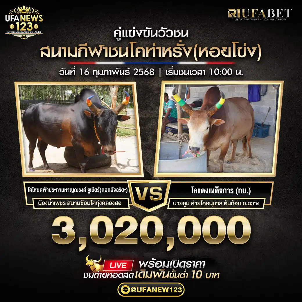 โคโหนดฟ้าประทานหาญณรงค์ จูเนียร์ (ดอกอัจฉริยะ) VS โคแดงเผด็จการ (ทบ.) ชิงรางวัล 3,020,000 บาท 16 กุมภาพันธ์ 2568