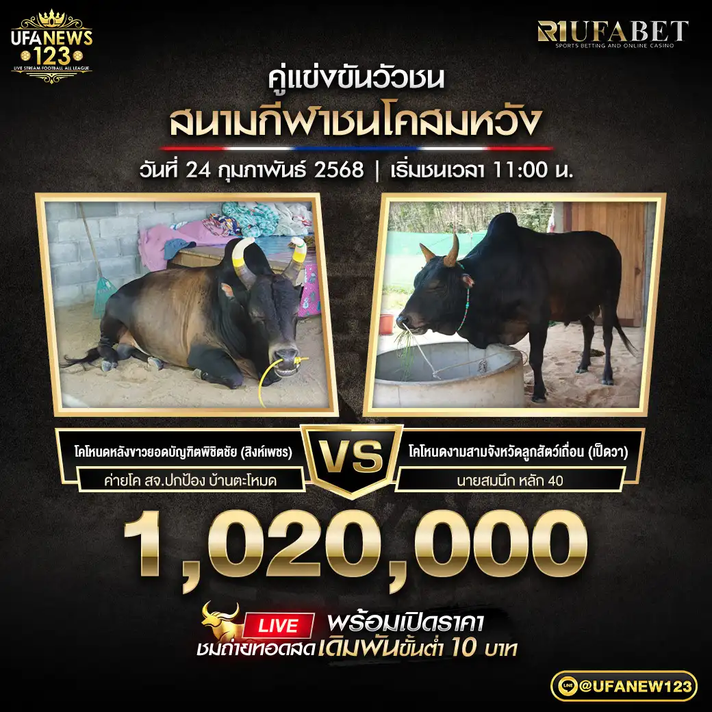 โคโหนดหลังขาวยอดบัญฑิตพิชิตชัย VS โคโหนดงามสามจังหวัดลูกสัตว์เถื่อน ชิงรางวัล 1,020,000 บาท 24 กุมภาพันธ์ 2568