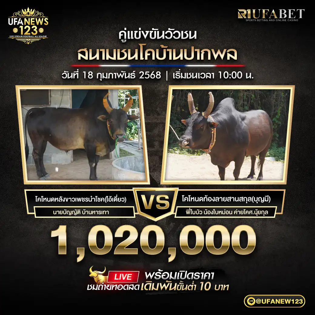 โคโหนดหลังขาวเพชรนำโชค(ไอ้เดี่ยว) VS โคโหนดท้องลายสานสกุล(บุญมี) ชิงรางวัล 1,020,000 บาท 18 กุมภาพันธ์ 2568