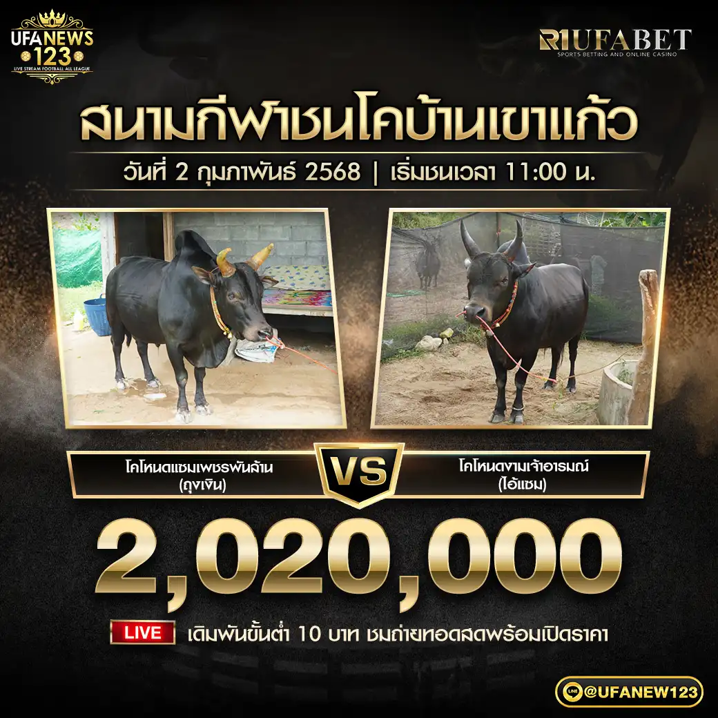 โคโหนดแซมเพชรพันล้าน (ถุงเงิน) VS โคโหนดงามเจ้าอารมณ์ (ไอ้แซม) ชิงรางวัล 2,020,000 บาท 02 กุมภาพันธ์ 2568