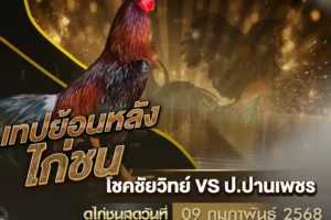 เทปไก่ชน โชคชัยวิทย์ VS ป.ปานเพชร 09 กุมภาพันธ์ 2568