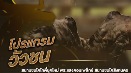 โปรแกรมวัวชน 01 มีนาคม 2568