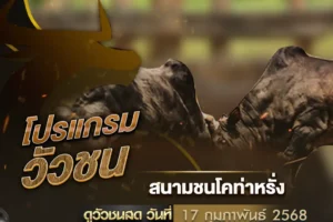 โปรแกรมวัวชน 17 กุมภาพันธ์ 2568