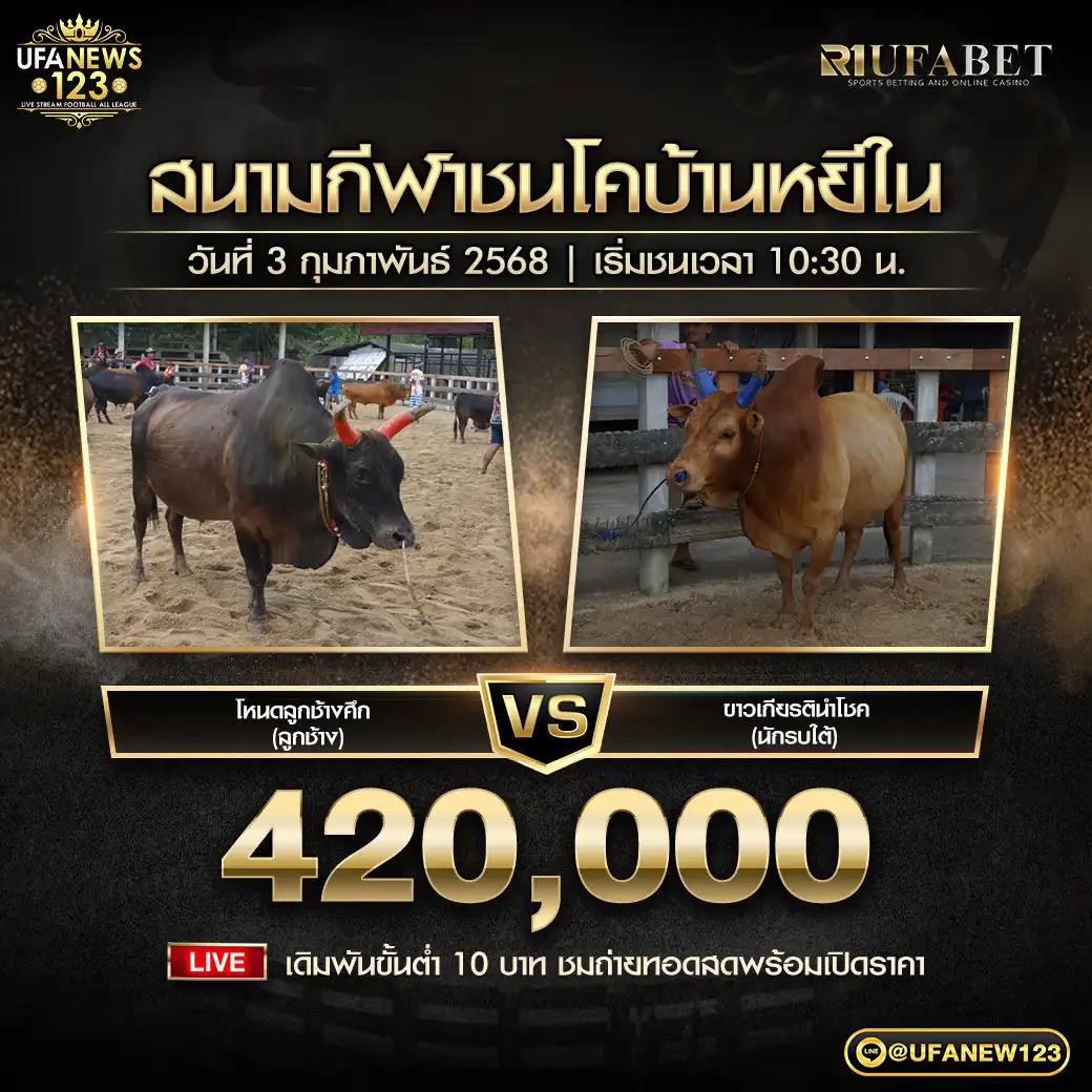 โหนดลูกช้างศึก (ลูกช้าง) VS ขาวเกียรตินำโชค (นักรบใต้) ชิงรางวัล 420,000 บาท 03 กุมภาพันธ์ 2568