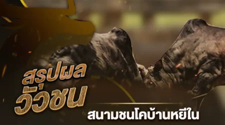 ผลวัวชน 02 มีนาคม 2568