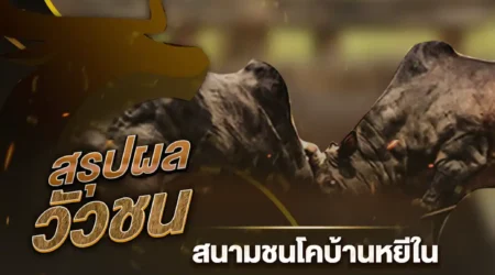 ผลวัวชน 03 มีนาคม 2568