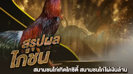 ผลไก่ชน 02 มีนาคม 2568