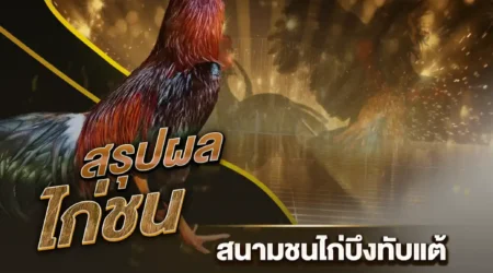 ผลไก่ชน 03 มีนาคม 2568