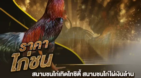 ราคาไก่ชน 02 มีนาคม 2568