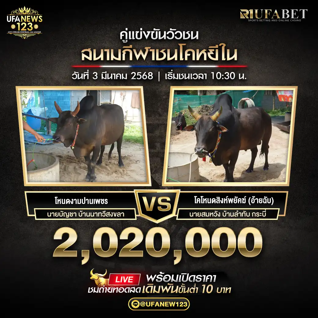 โคลังสาดขุนแผนจิ๋ว(ขุนแผน) VS โคโหนดสิงห์พยัคฆ์ (อ้ายฉับ) ชิงรางวัล 2,020,000 บาท 03 มีนาคม 2568