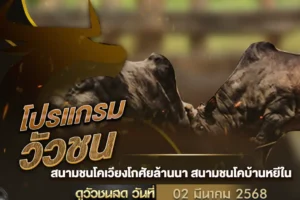 โปรแกรมวัวชน 02 มีนาคม 2568