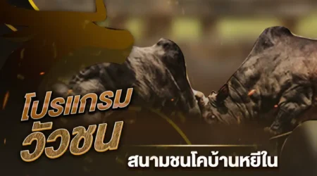 โปรแกรมวัวชน 03 มีนาคม 2568