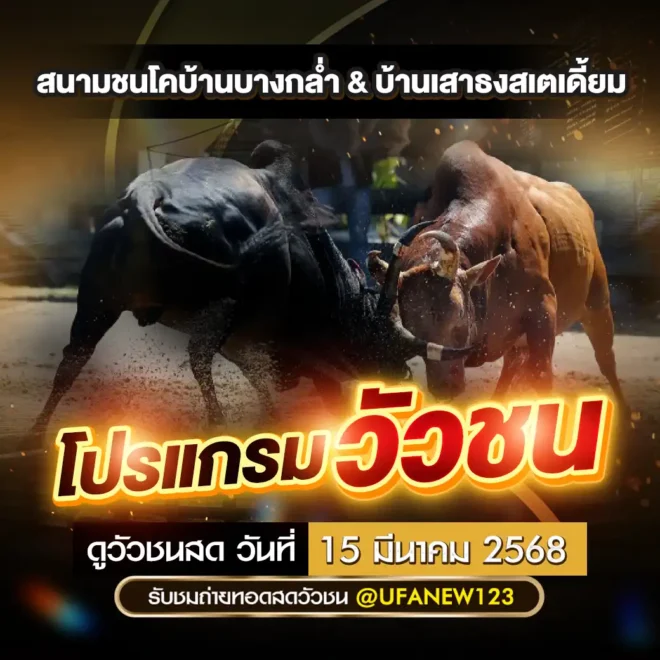 โปรแกรมวัวชน 15 มีนาคม 2568