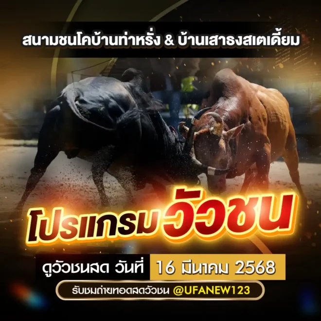 โปรแกรมวัวชน 16 มีนาคม 2568