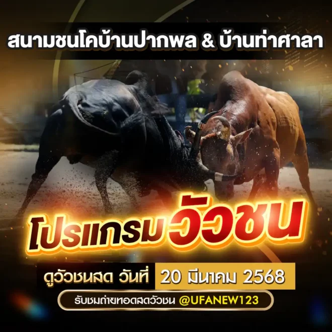 โปรแกรมวัวชน 20 มีนาคม 2568