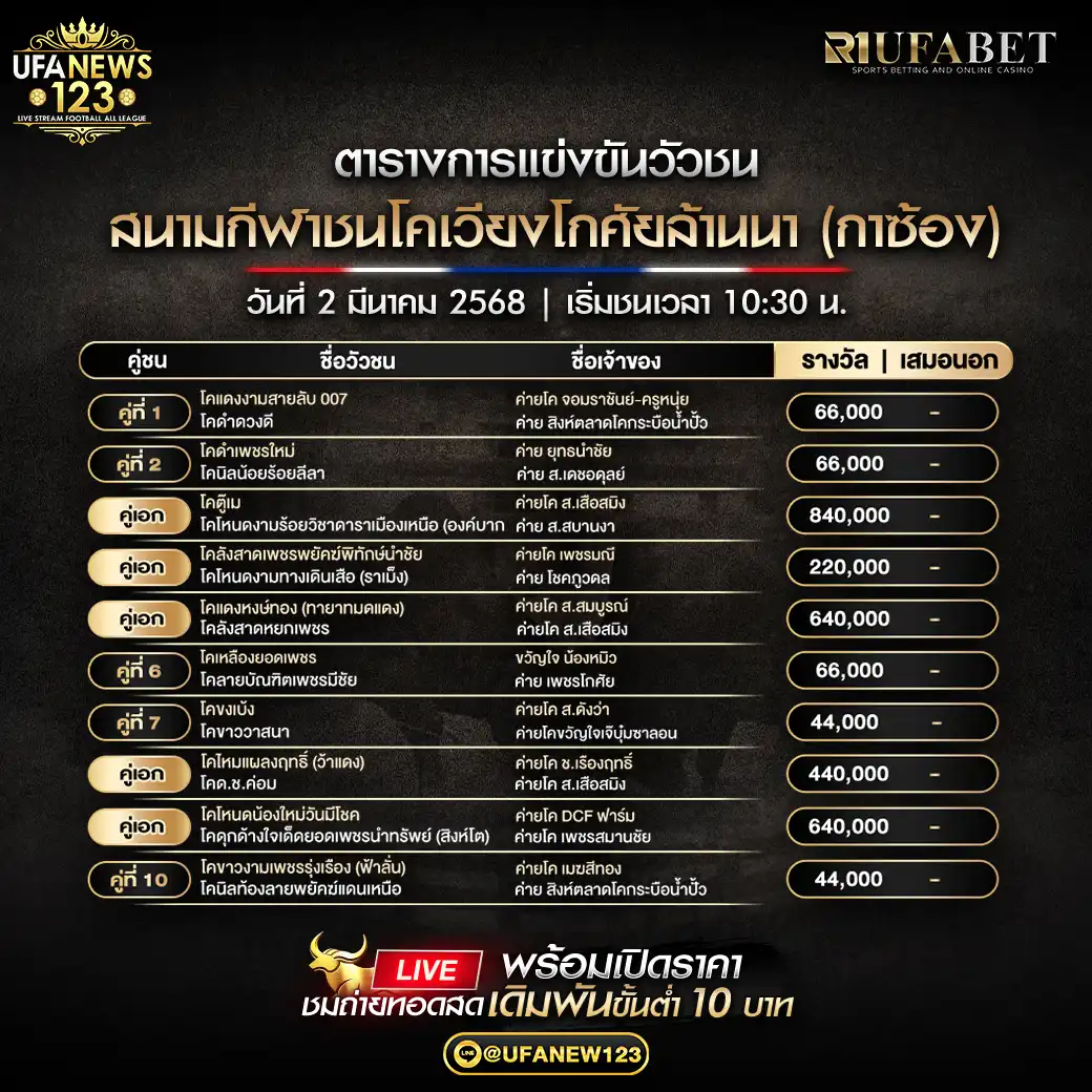 โปรแกรมวัวชน สนามกีฬาชนโคเวียงโกศัยล้านนา เริ่มเวลา 10:30 น. 02 มีนาคม 2568