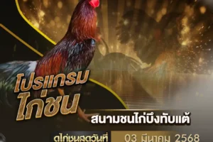 โปรแกรมไก่ชน 03 มีนาคม 2568